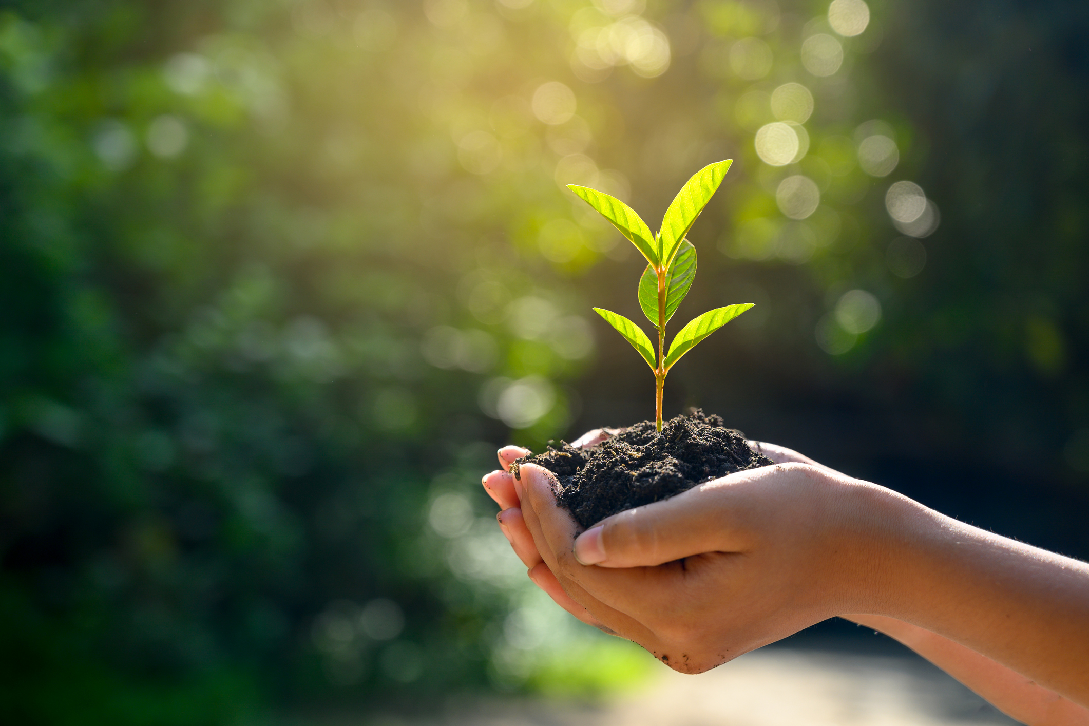 Bio-based Engineering Polymer DURABIO Certified as USDA Bio-based Product
